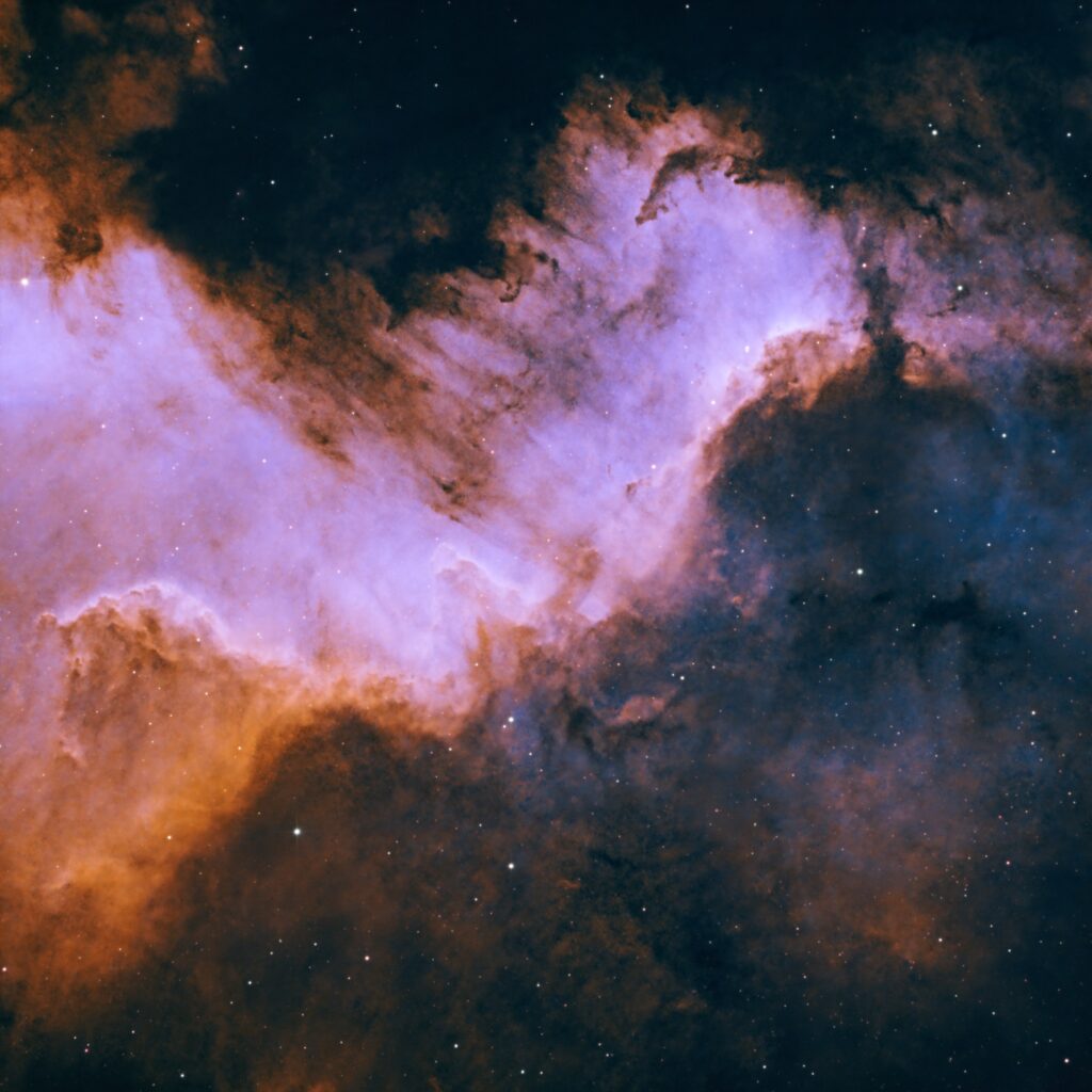 Cygnus Wall Thumb