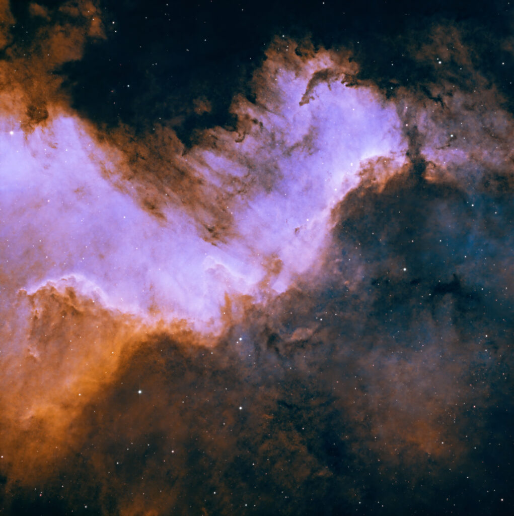 Cygnus Wall